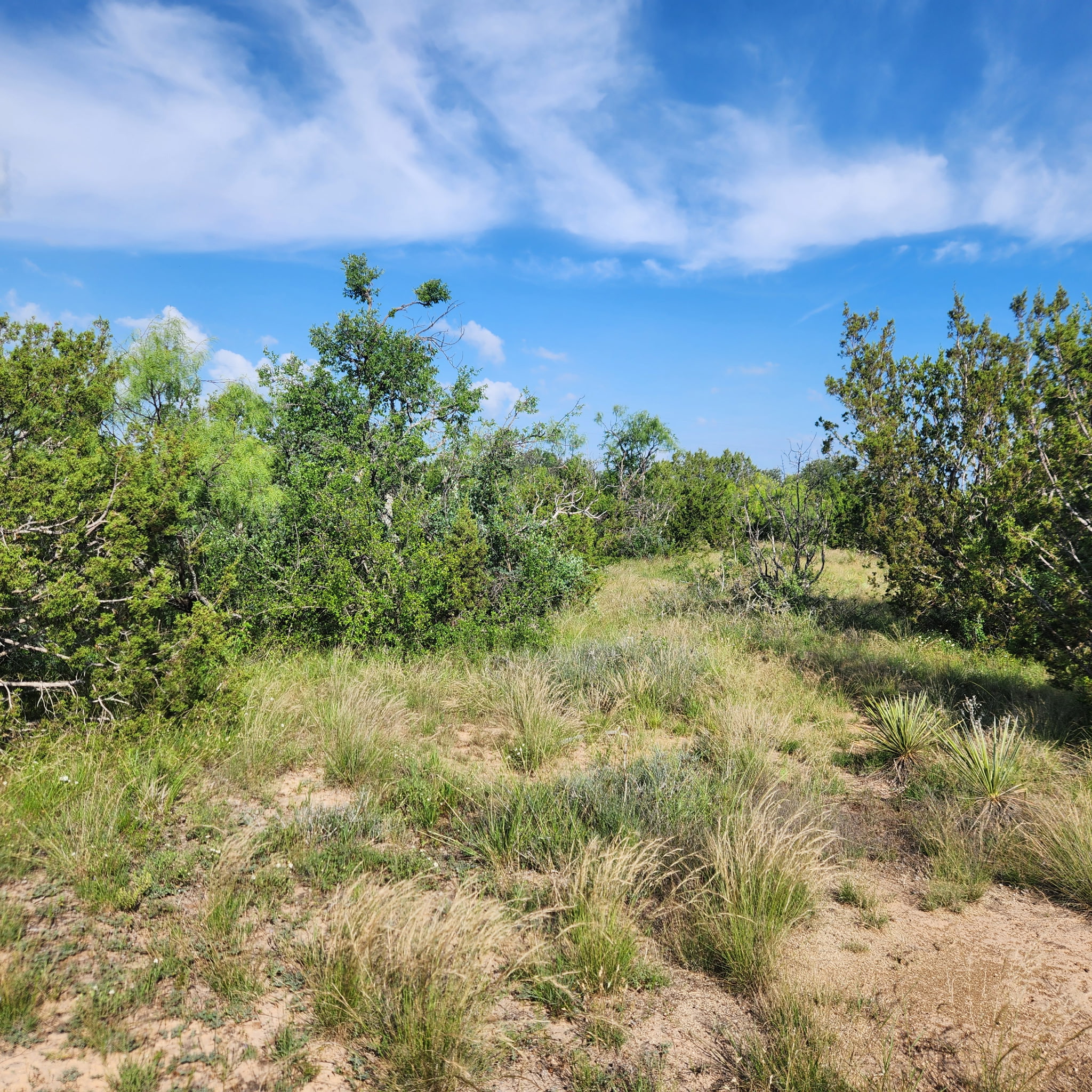 824 County Road 409 Talpa TX 76882