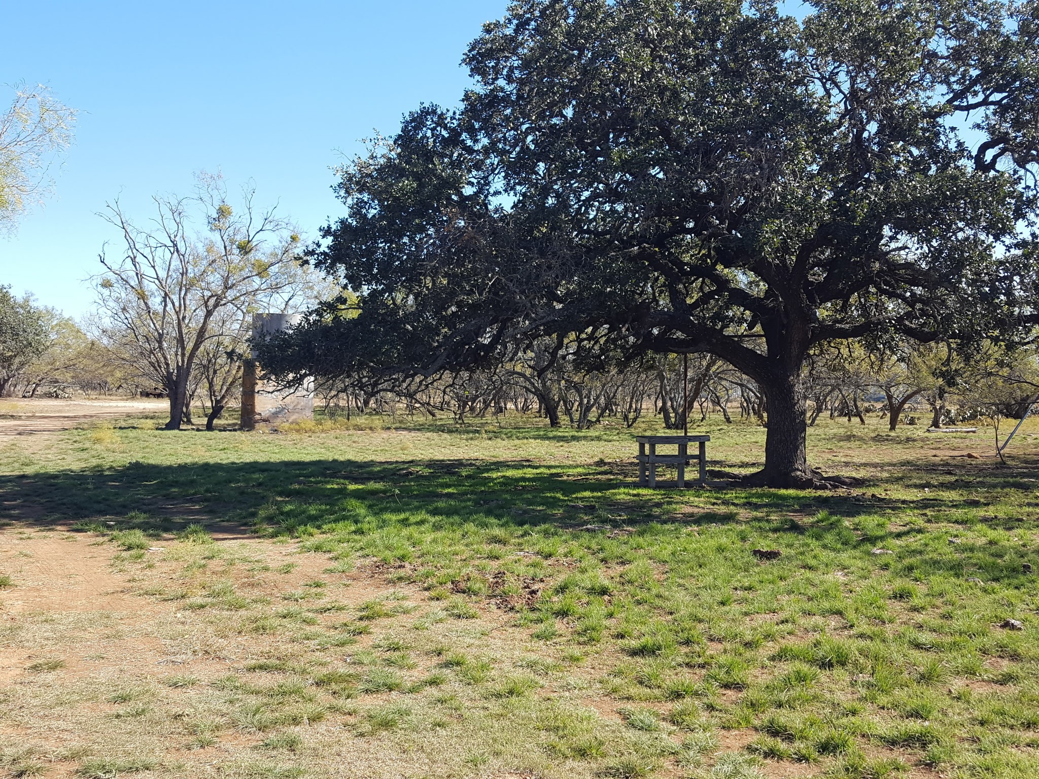 824 County Road 409 Talpa TX 76882