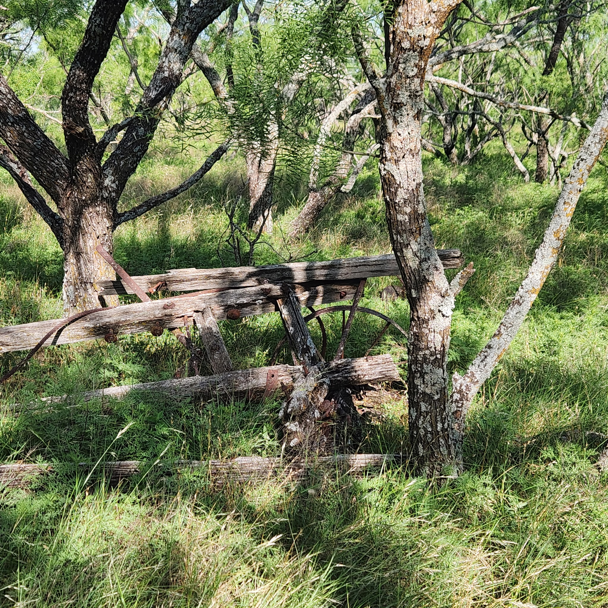 824 County Road 409 Talpa TX 76882