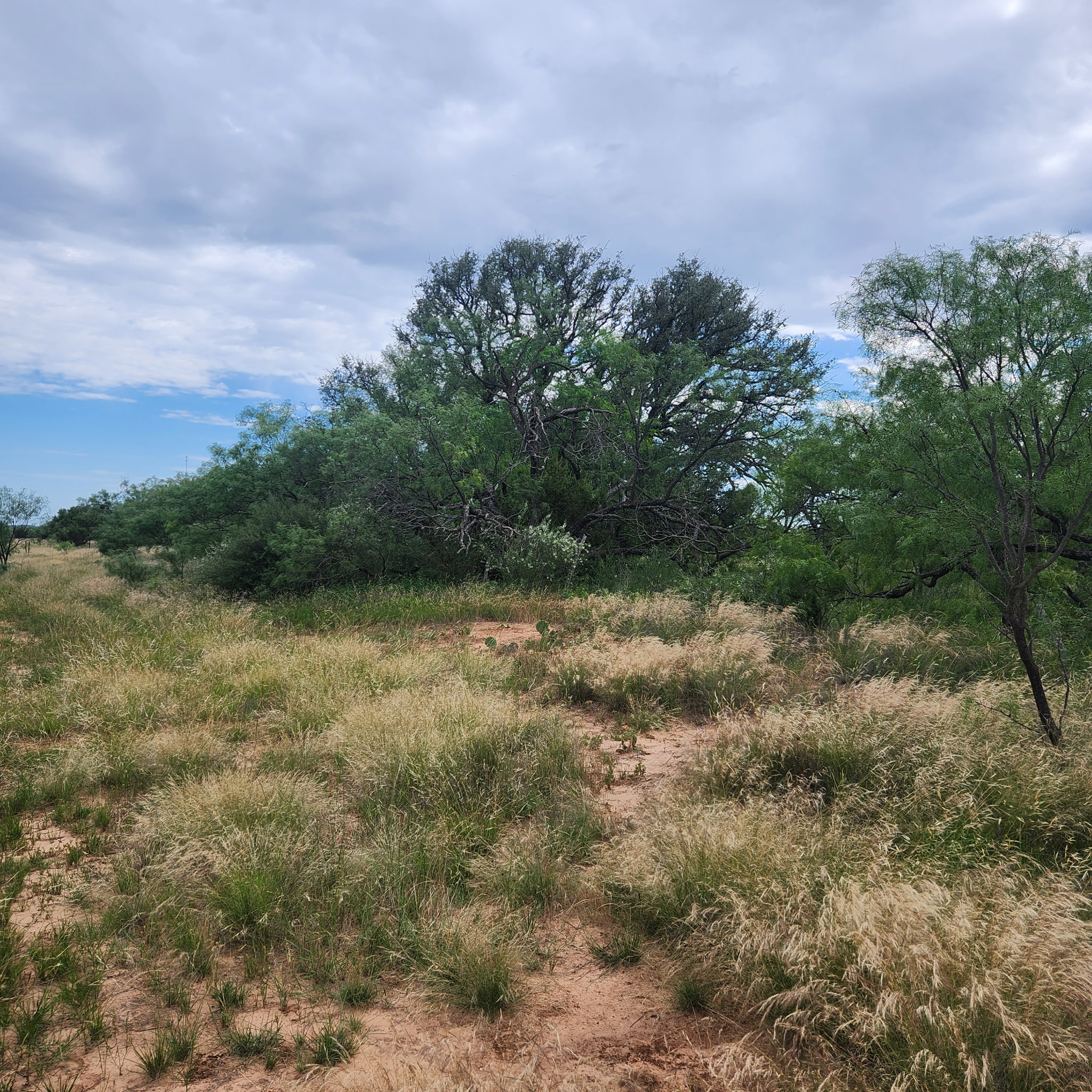 824 County Road 409 Talpa TX 76882