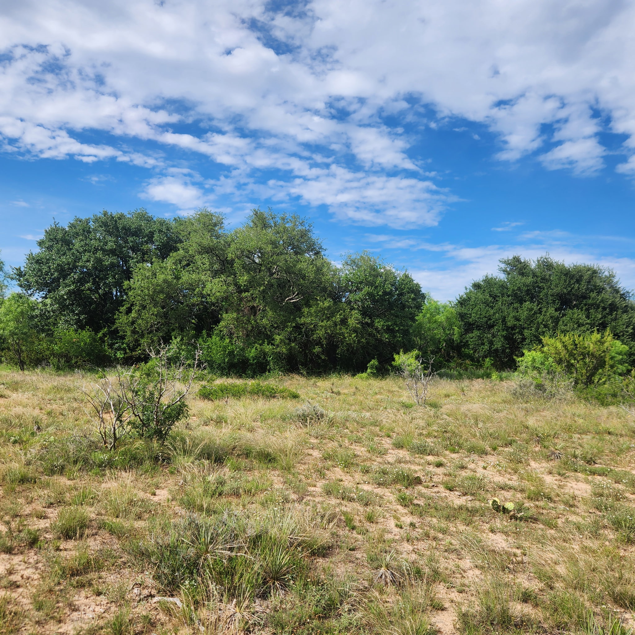 824 County Road 409 Talpa TX 76882