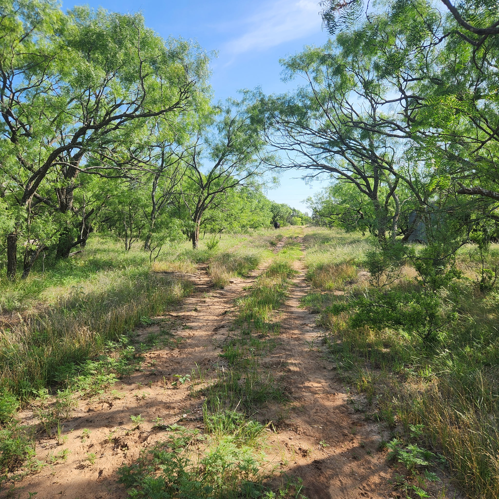 824 County Road 409 Talpa TX 76882