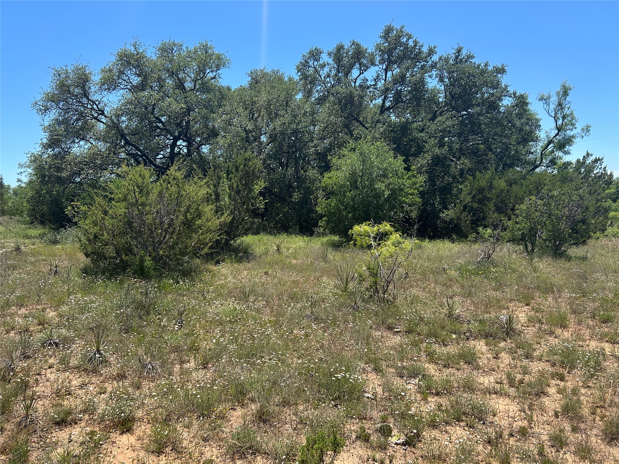 824 County Road 409 Talpa TX 76882