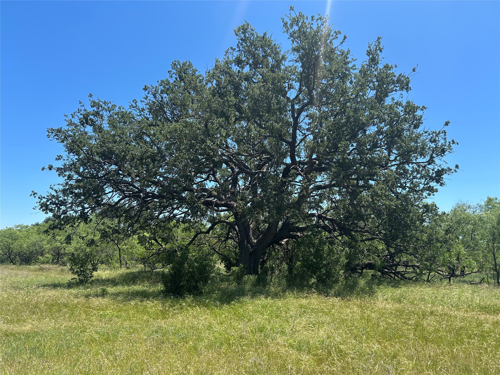 824 County Road 409 Talpa TX 76882