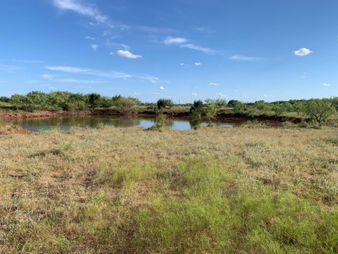 824 County Road 409 Talpa TX 76882