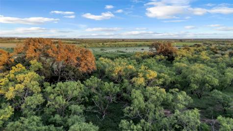 824 County Road 409 Talpa TX 76882