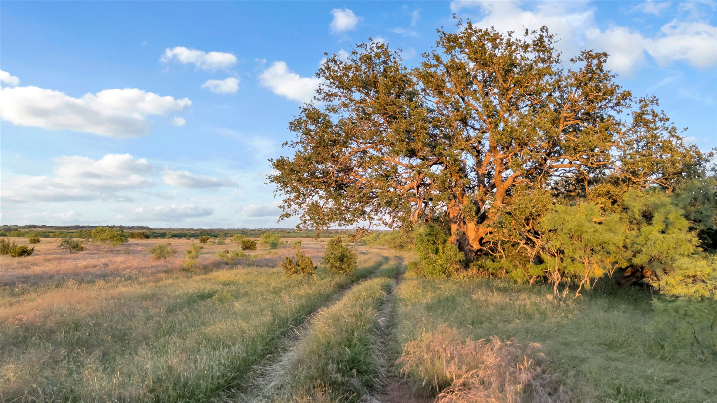 824 County Road 409 Talpa TX 76882