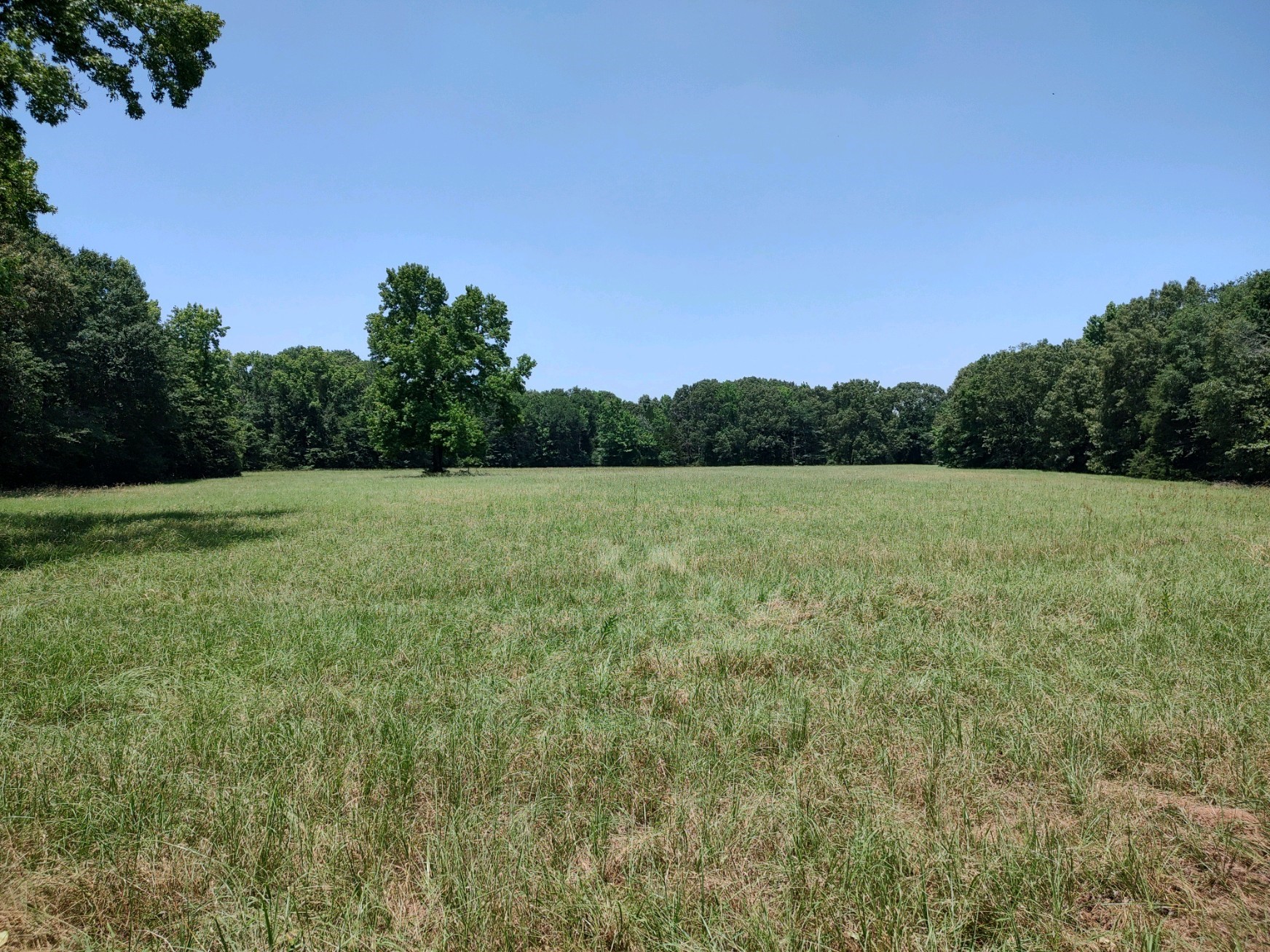 Tbd 55.644 Acres County Road 1807 Yantis TX 75497