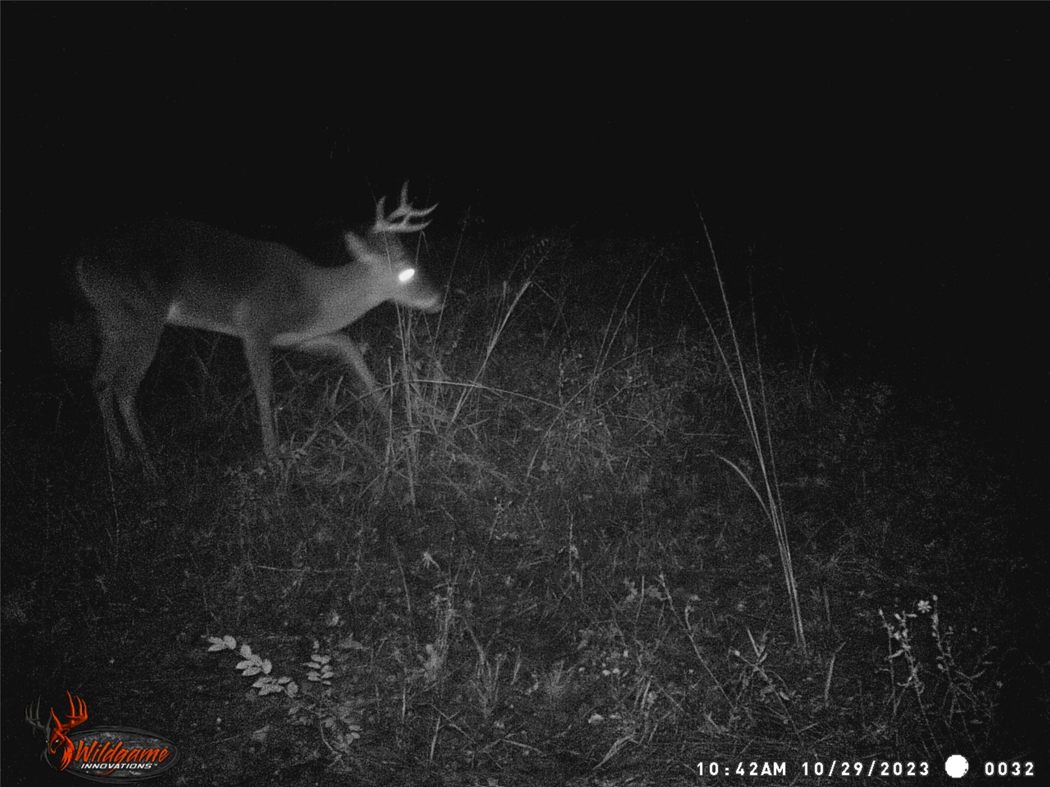 Tbd 55.644 Acres County Road 1807 Yantis TX 75497