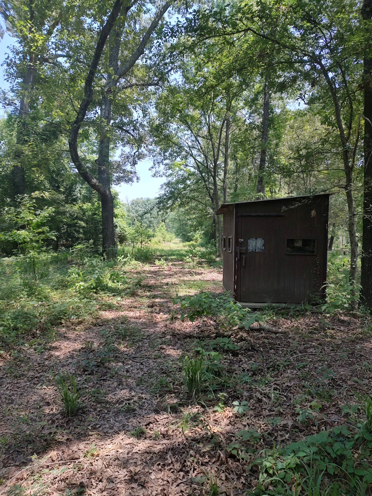 Tbd 55.644 Acres County Road 1807 Yantis TX 75497
