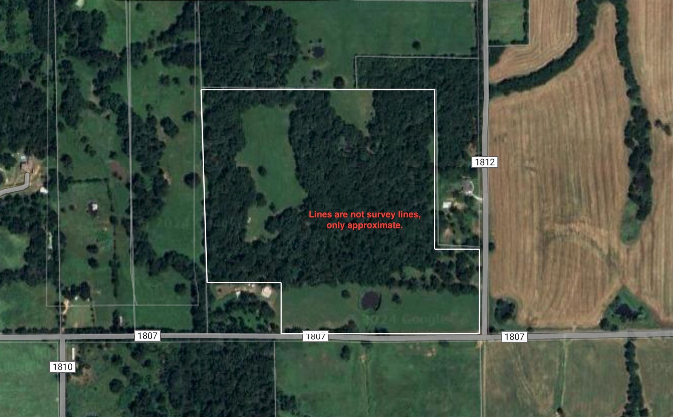 Tbd 55.644 Acres County Road 1807 Yantis TX 75497