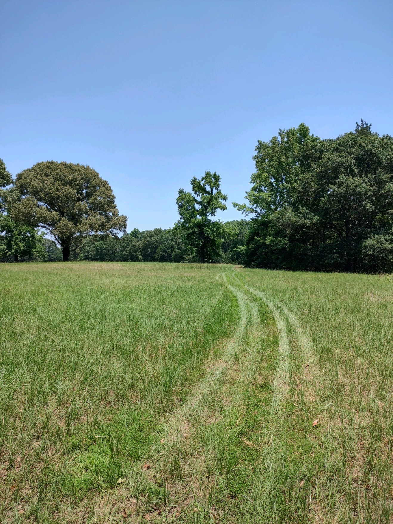 Tbd 55.644 Acres County Road 1807 Yantis TX 75497