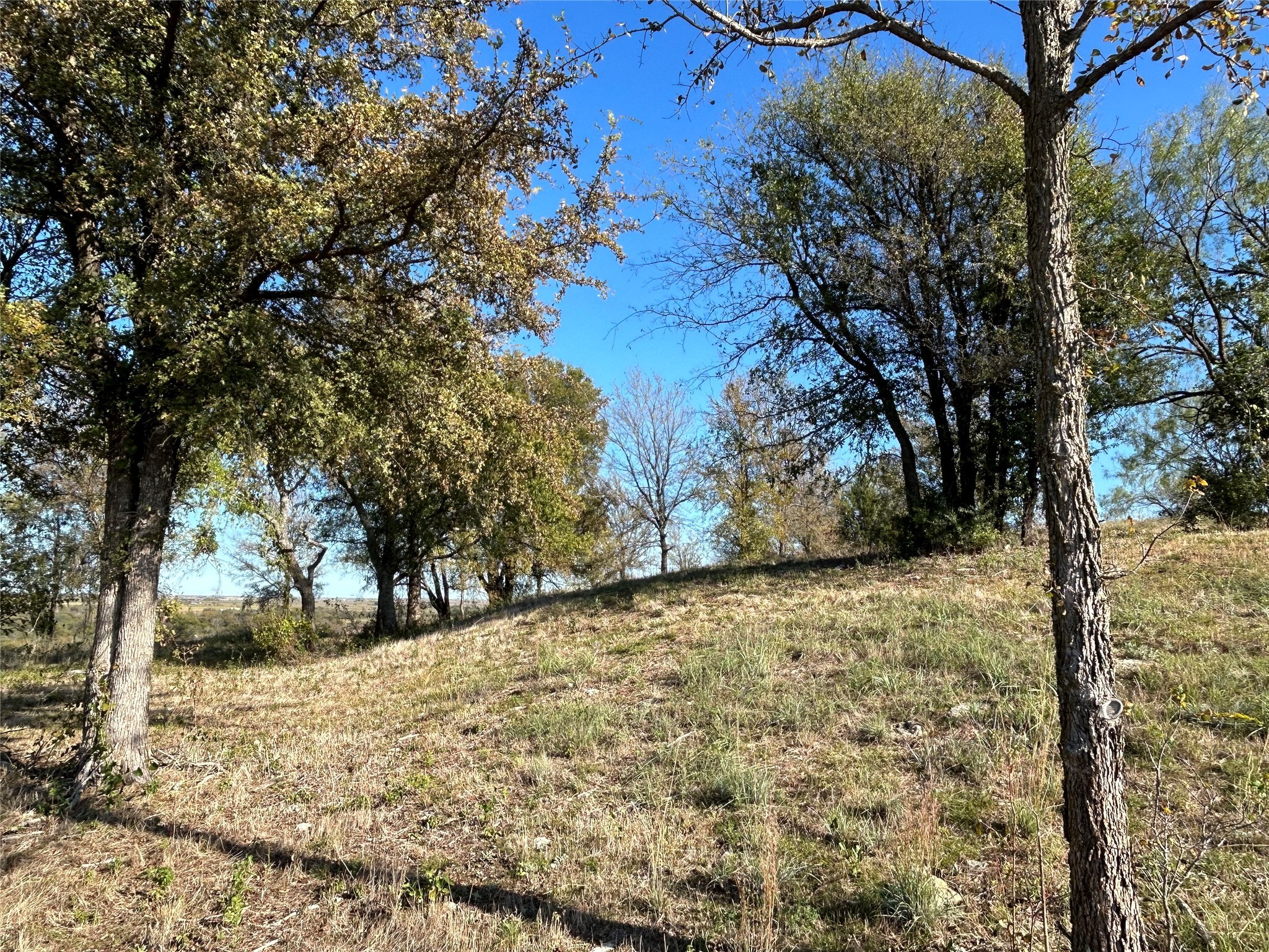 2010 Hidden Bluff Drive Aledo TX 76008
