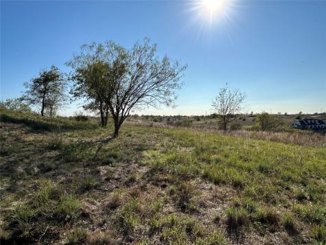 2010 Hidden Bluff Drive Aledo TX 76008