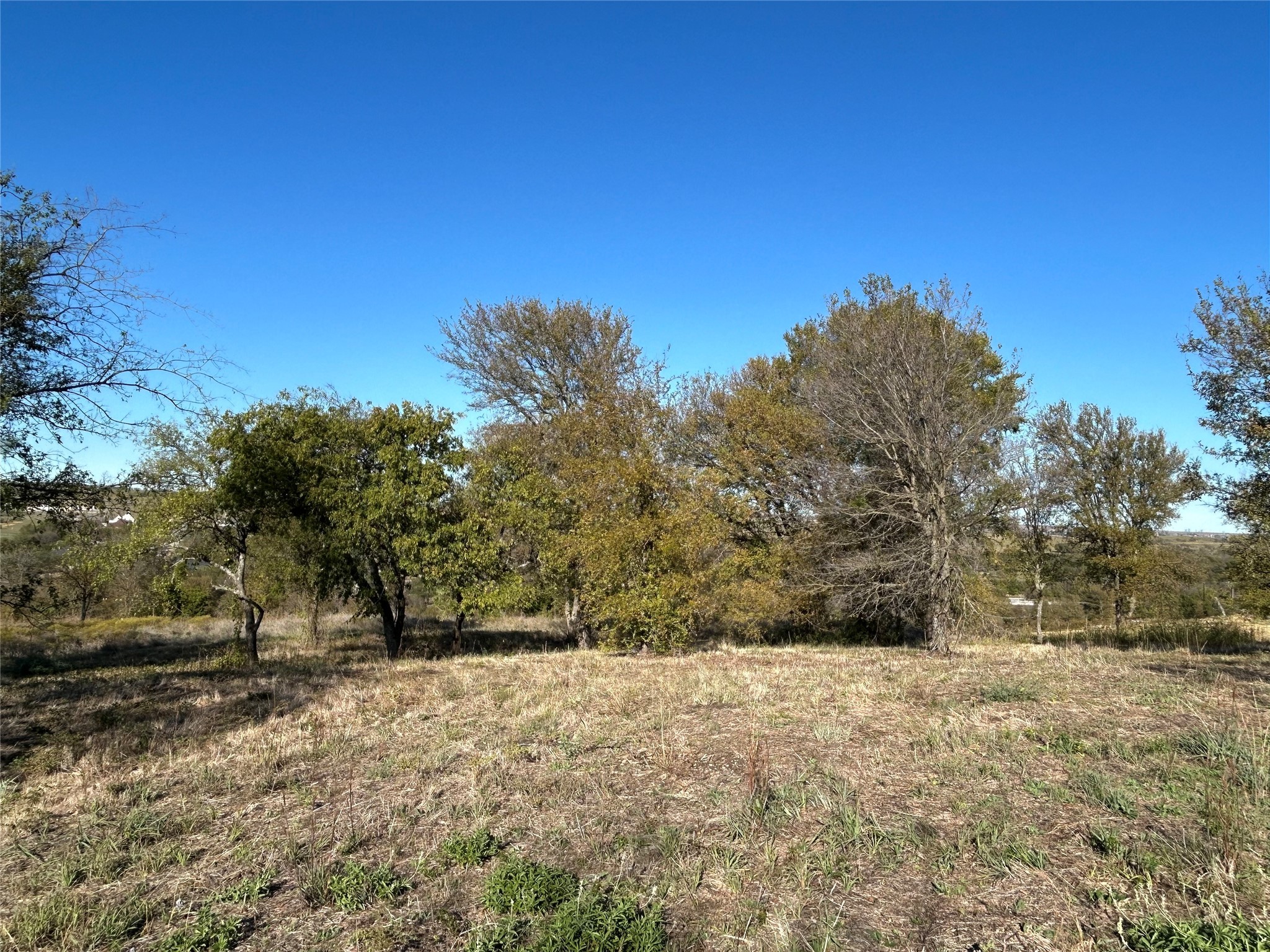 2010 Hidden Bluff Drive Aledo TX 76008