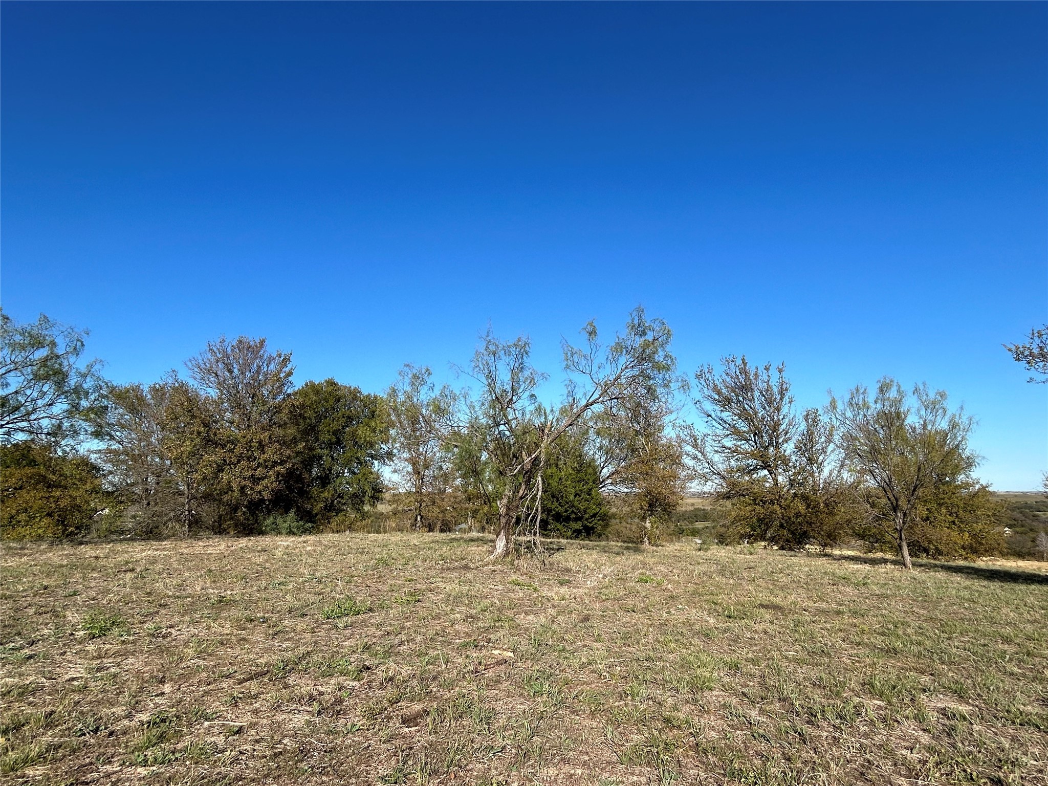 2010 Hidden Bluff Drive Aledo TX 76008
