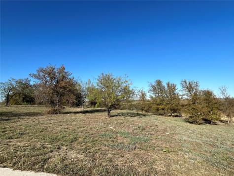 2010 Hidden Bluff Drive Aledo TX 76008
