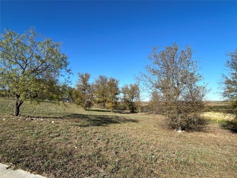 2010 Hidden Bluff Drive Aledo TX 76008