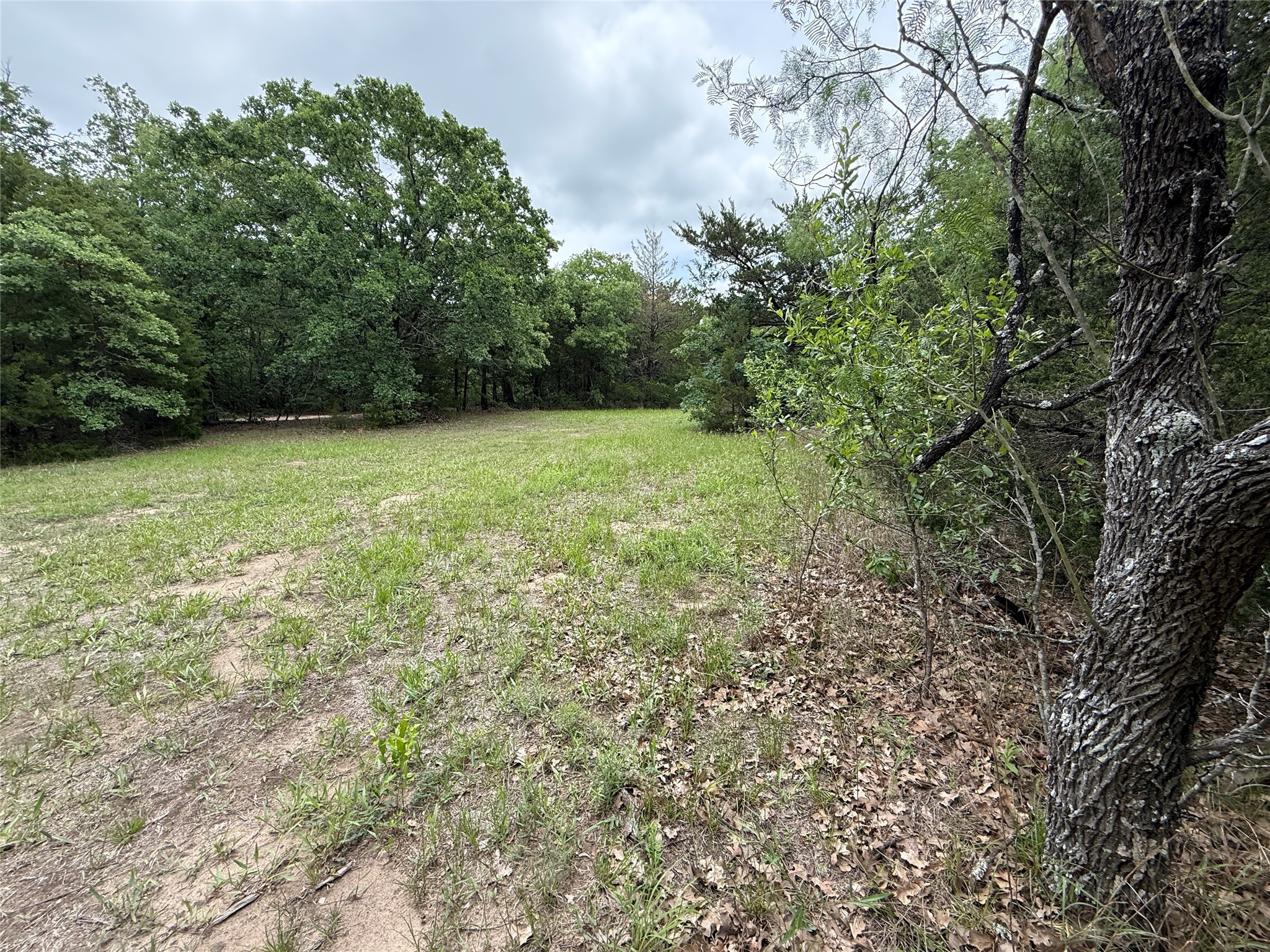Tbd 27 Acres Fm 642 Purdon TX 76679