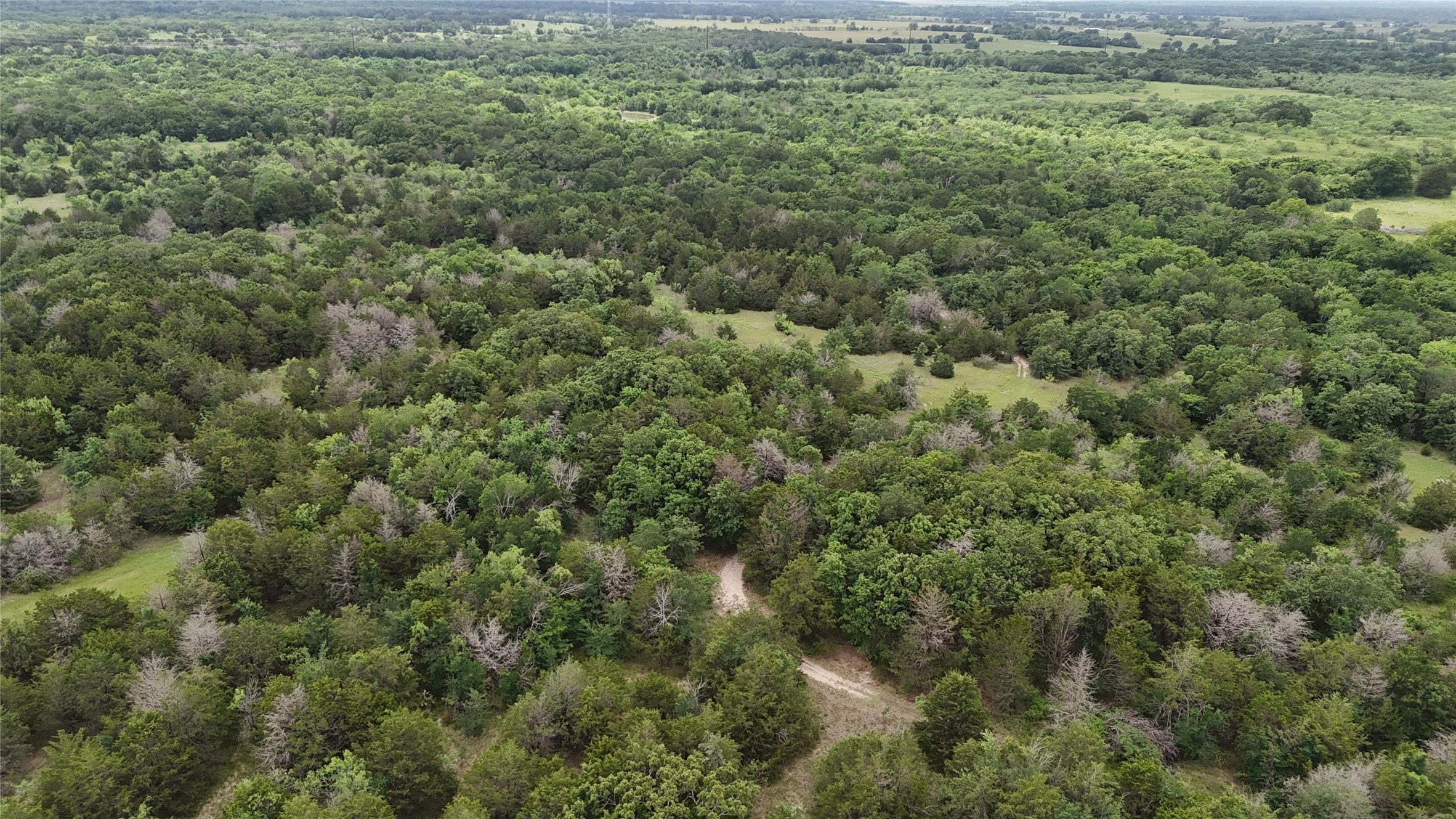 Tbd 27 Acres Fm 642 Purdon TX 76679