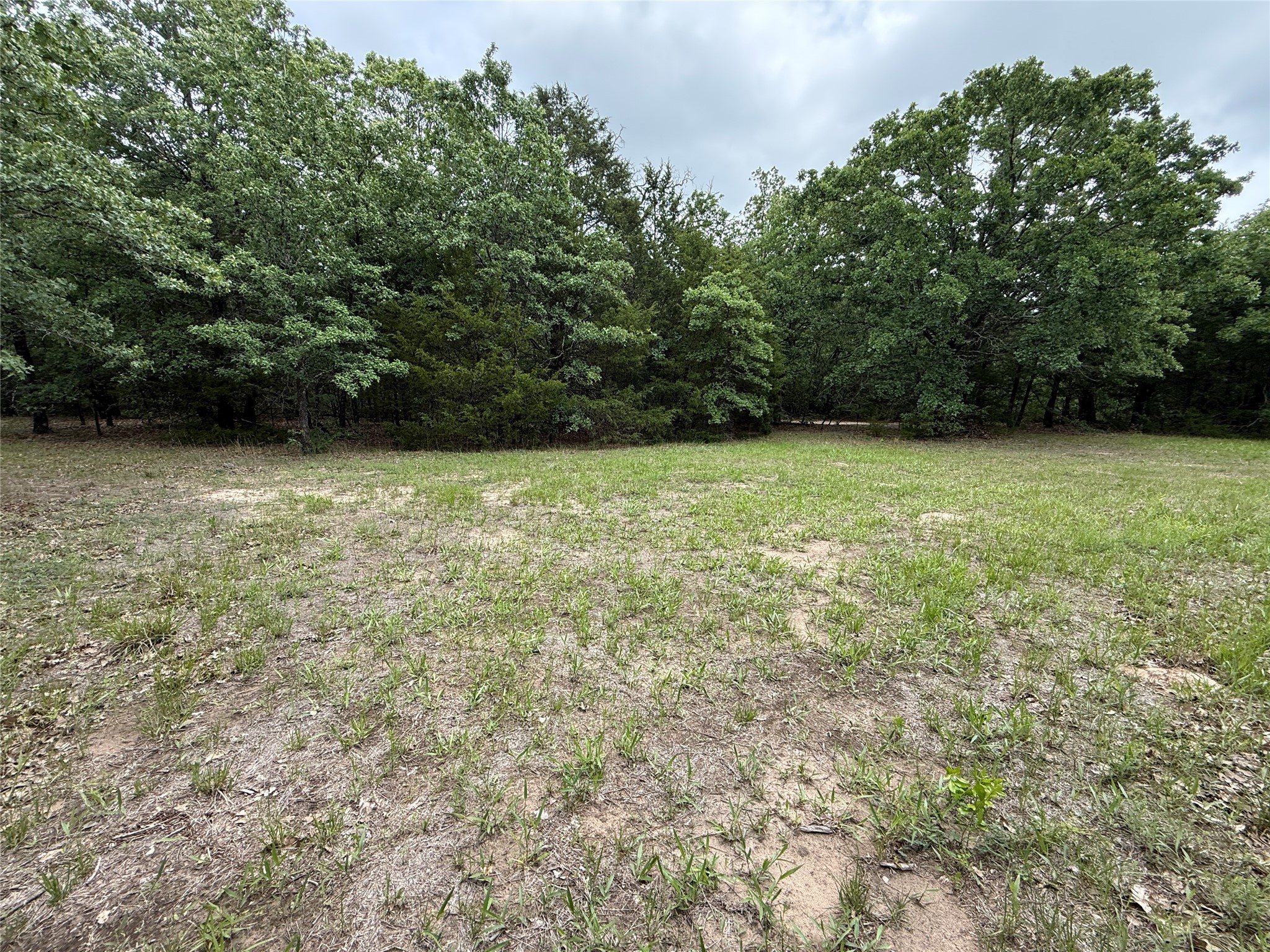 Tbd 27 Acres Fm 642 Purdon TX 76679