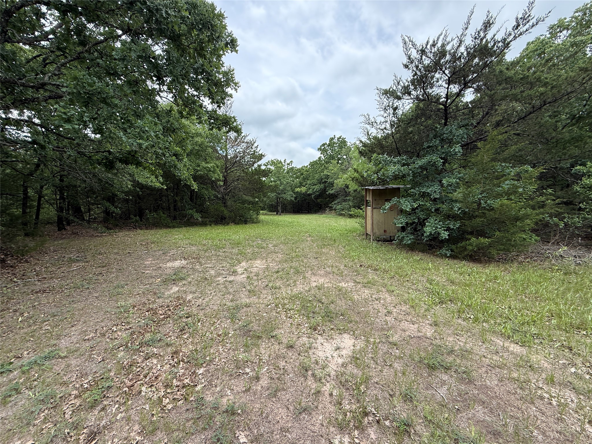 Tbd 27 Acres Fm 642 Purdon TX 76679