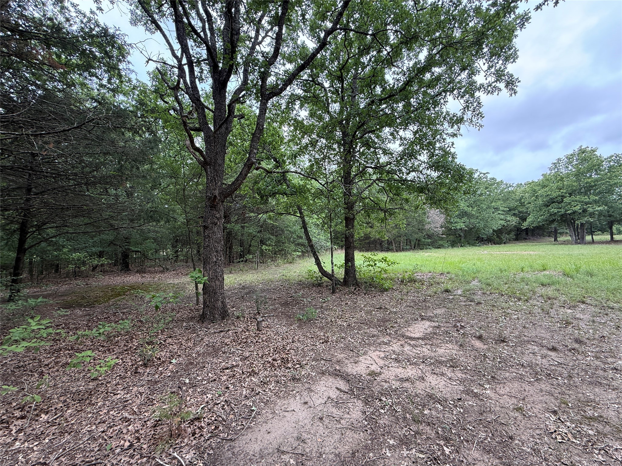 Tbd 27 Acres Fm 642 Purdon TX 76679