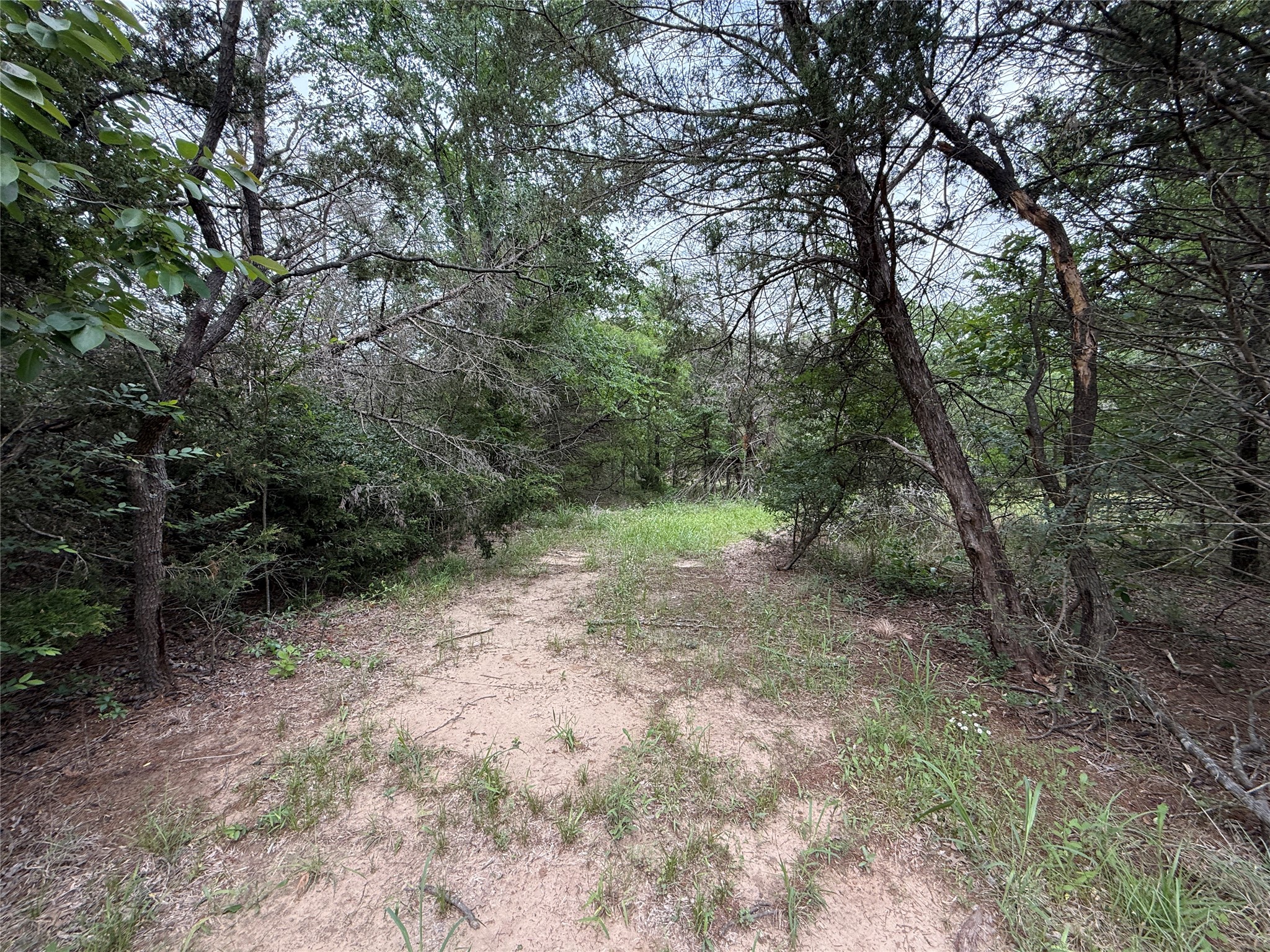Tbd 27 Acres Fm 642 Purdon TX 76679