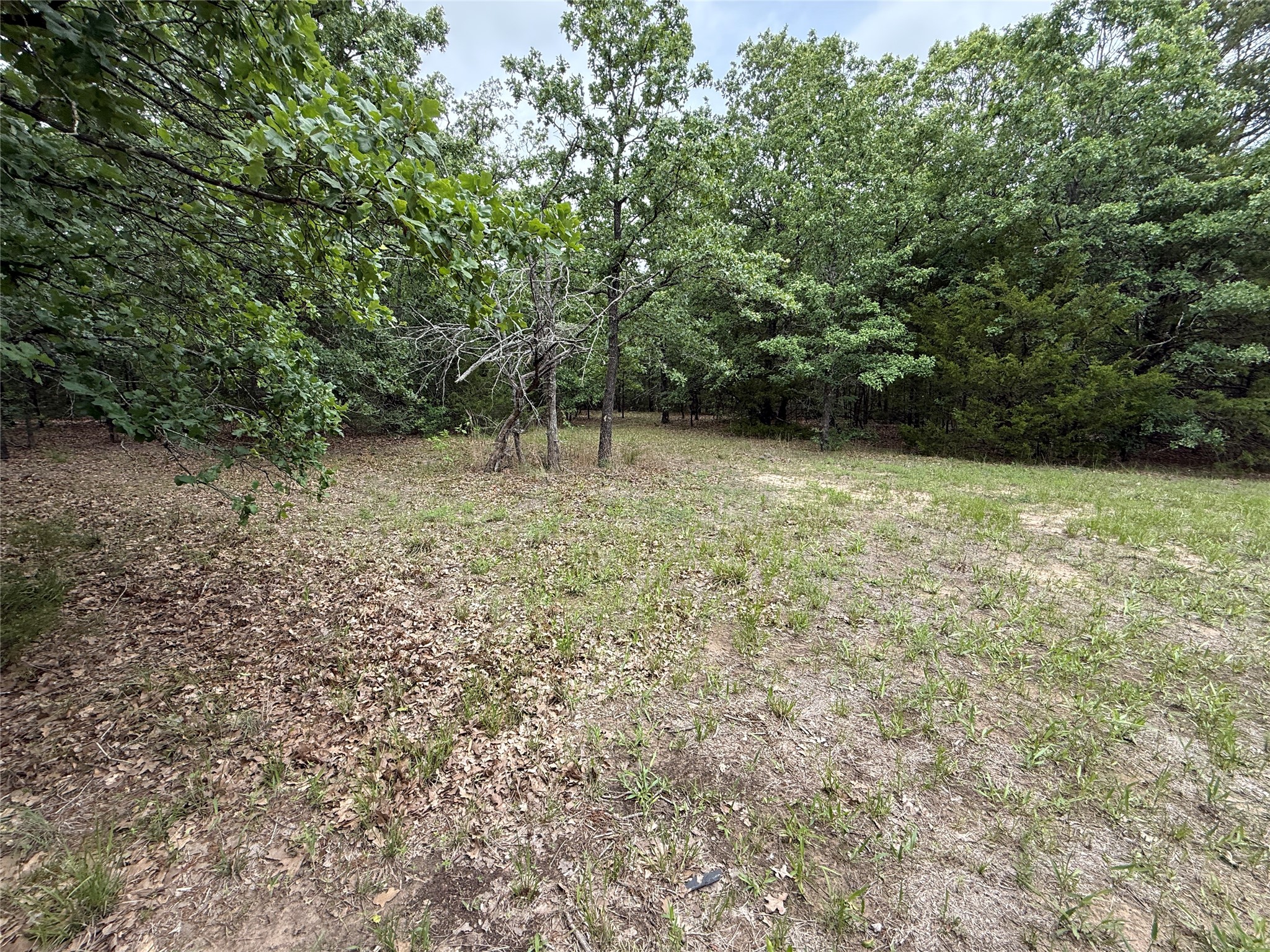 Tbd 27 Acres Fm 642 Purdon TX 76679