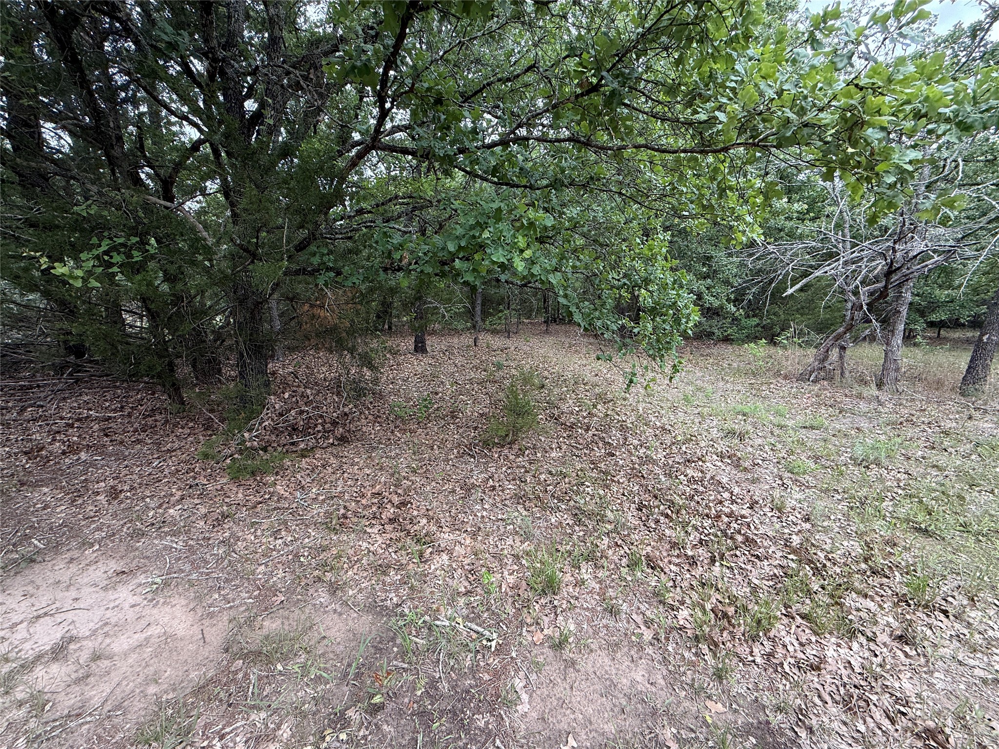 Tbd 27 Acres Fm 642 Purdon TX 76679