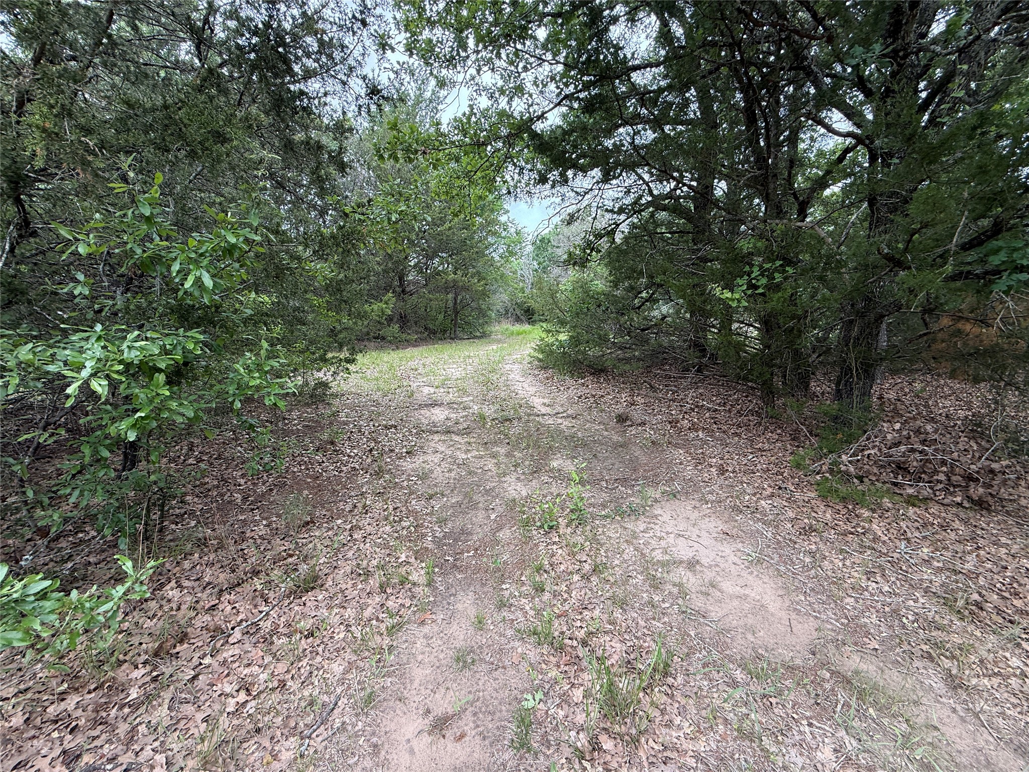 Tbd 27 Acres Fm 642 Purdon TX 76679