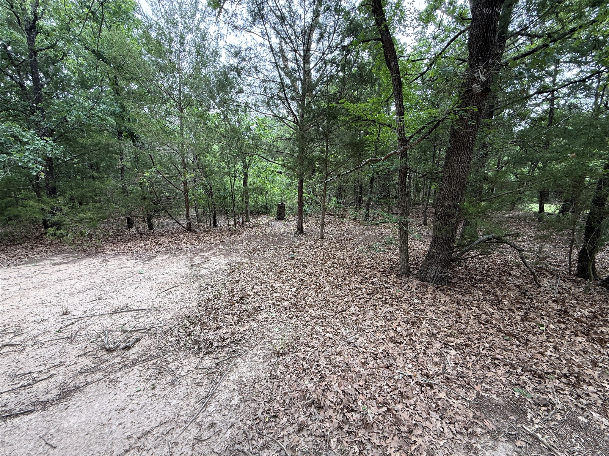 Tbd 27 Acres Fm 642 Purdon TX 76679