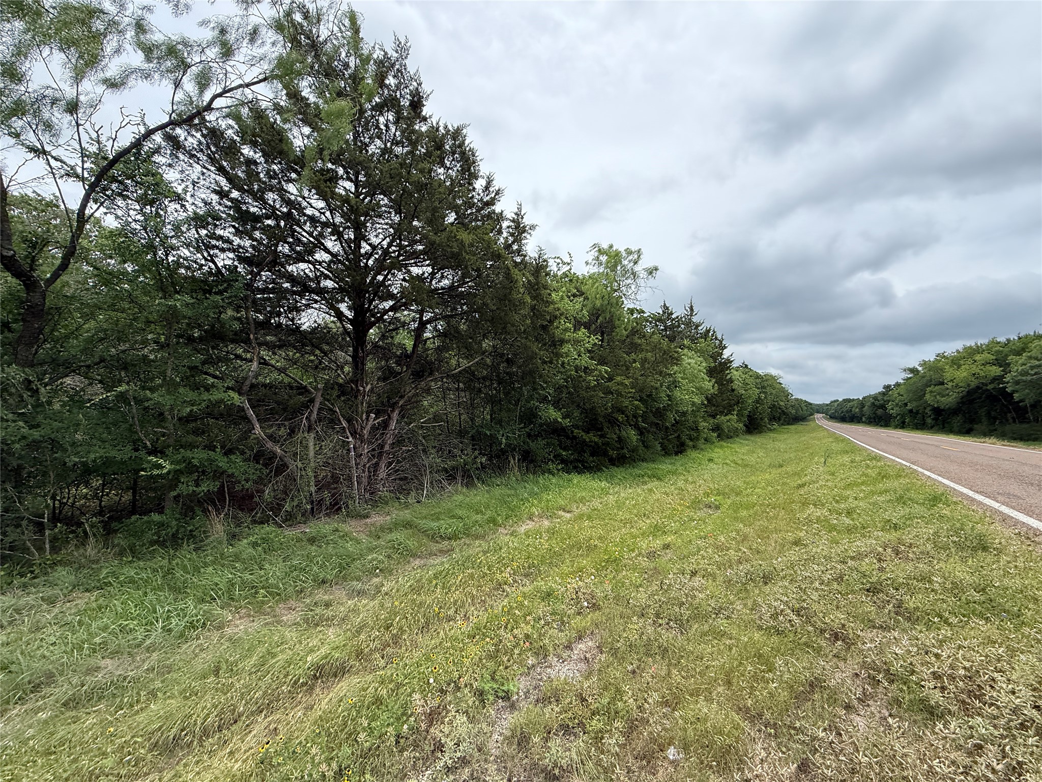 Tbd 27 Acres Fm 642 Purdon TX 76679