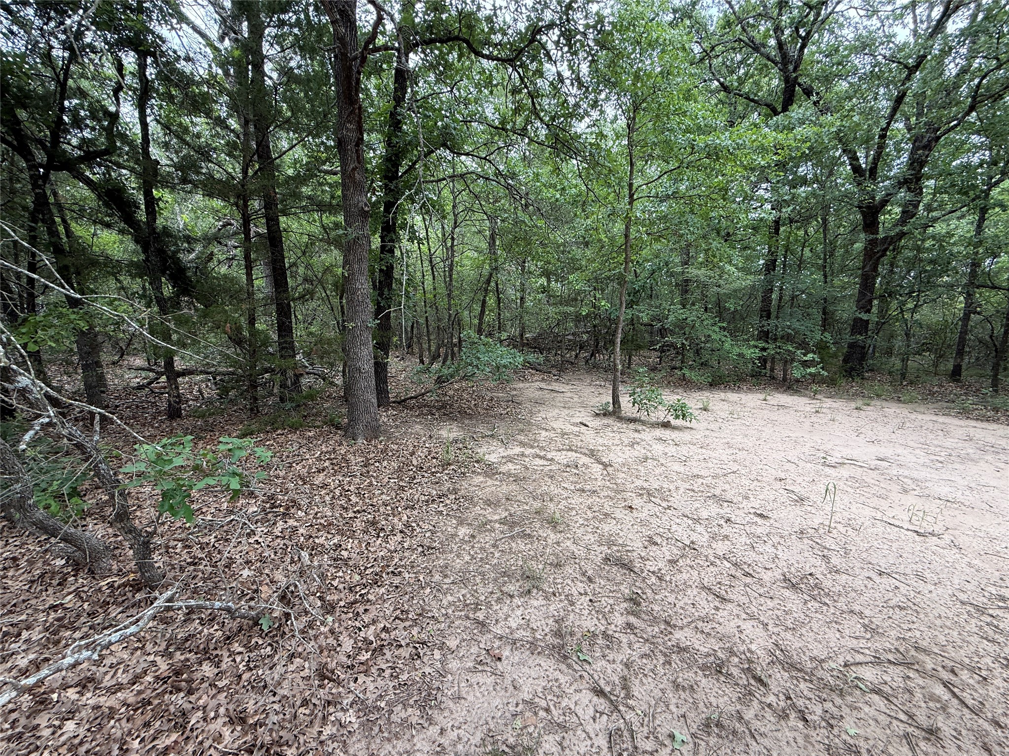 Tbd 27 Acres Fm 642 Purdon TX 76679