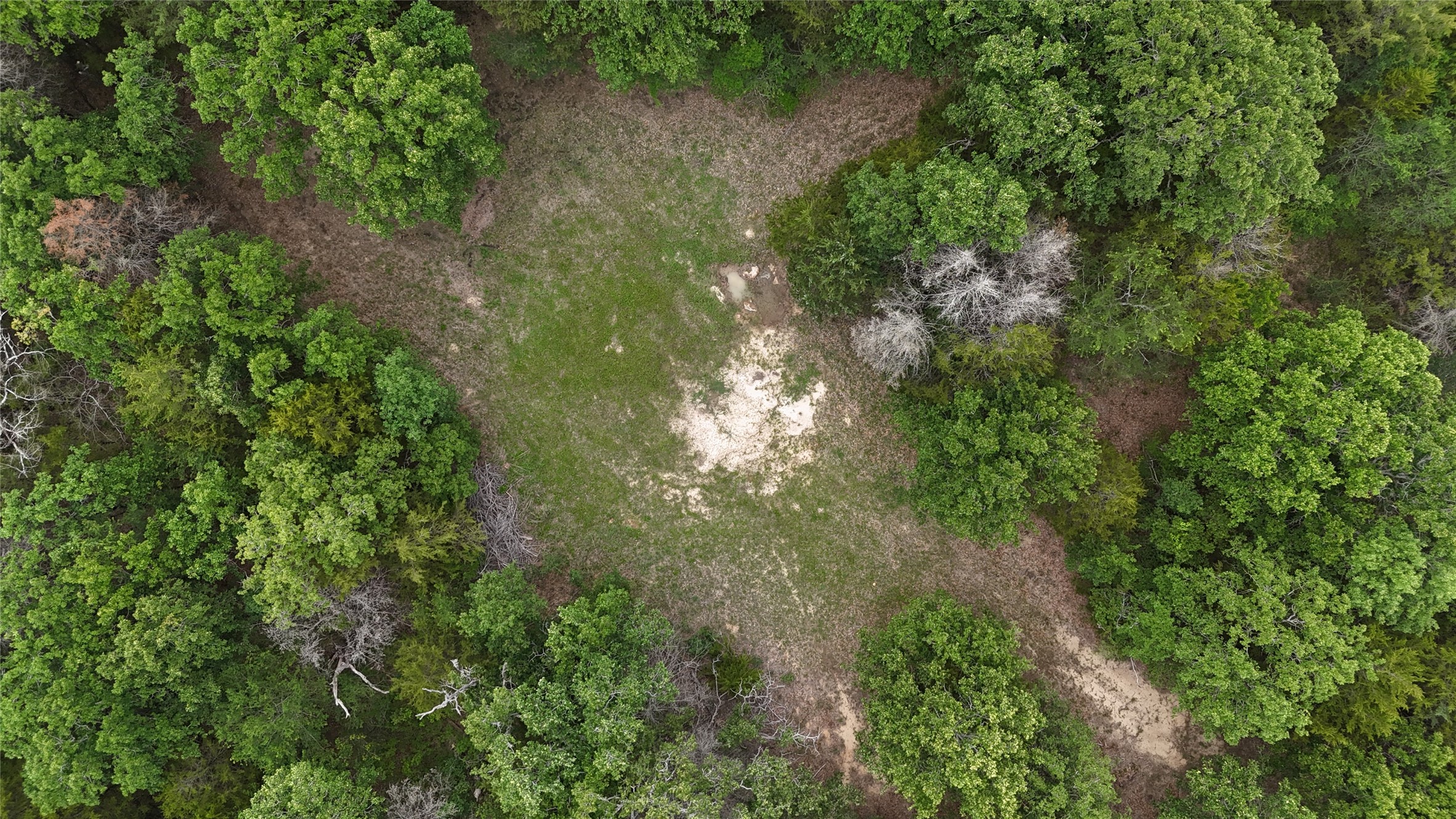 Tbd 27 Acres Fm 642 Purdon TX 76679