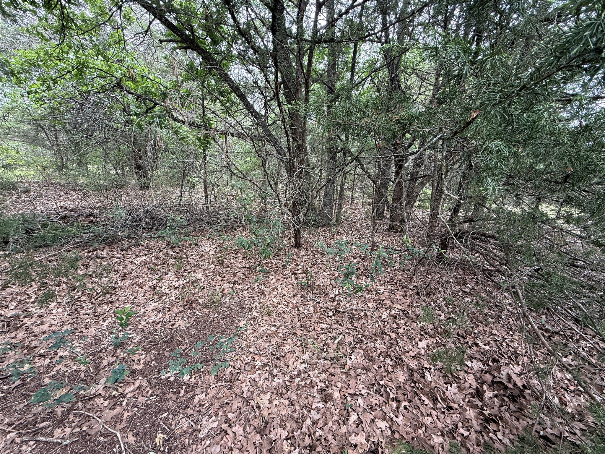 Tbd 27 Acres Fm 642 Purdon TX 76679