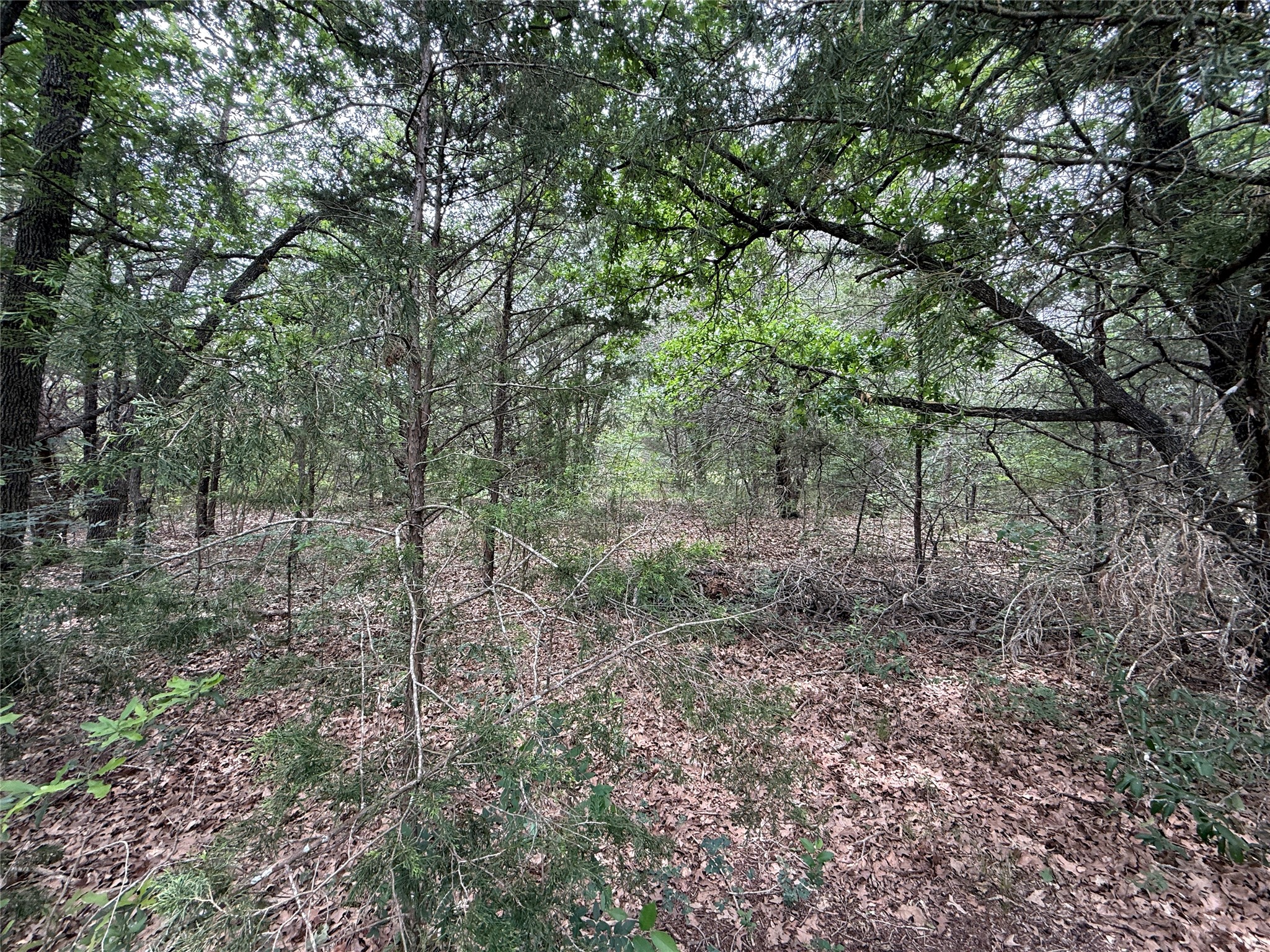 Tbd 27 Acres Fm 642 Purdon TX 76679