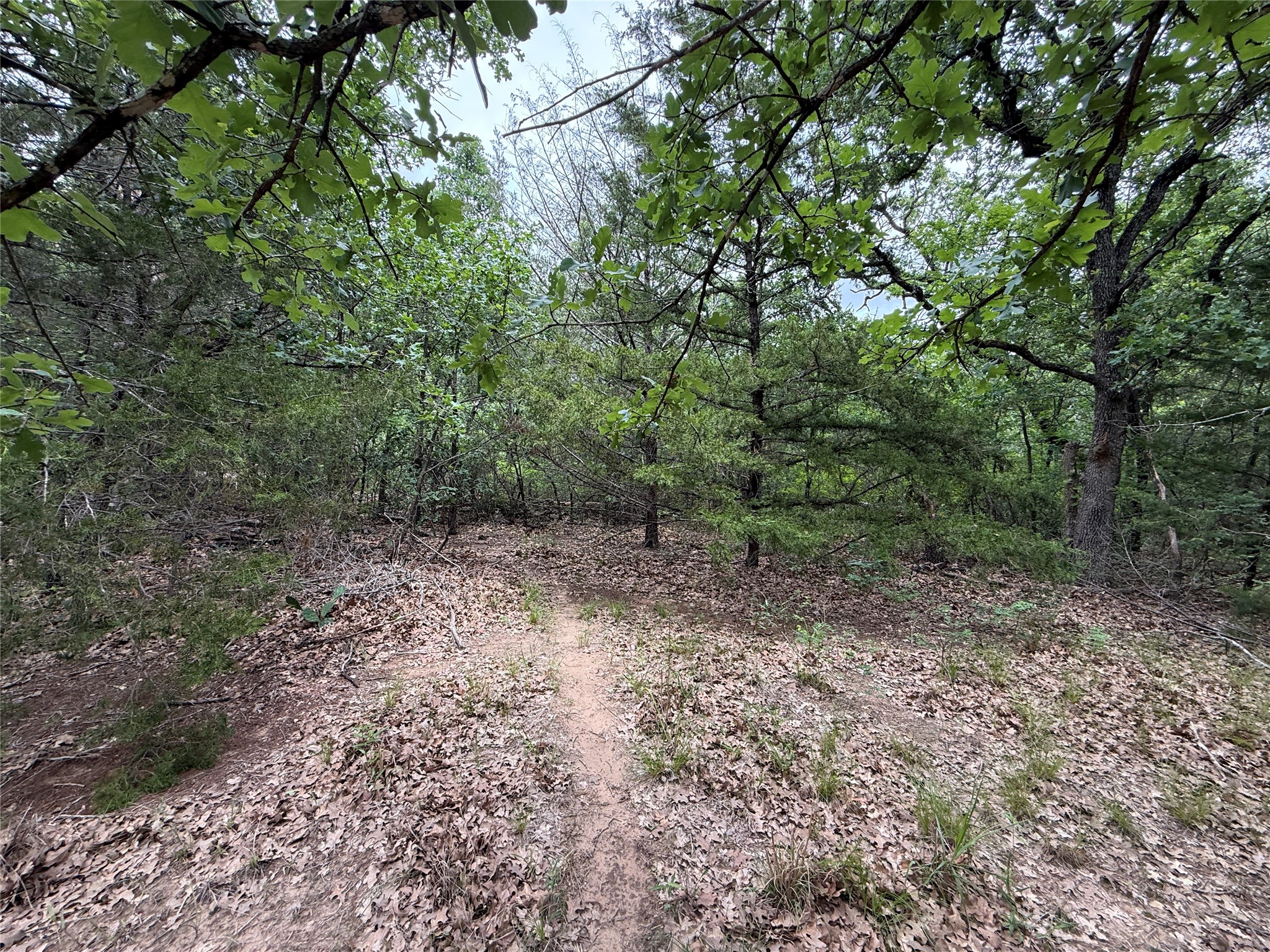 Tbd 27 Acres Fm 642 Purdon TX 76679
