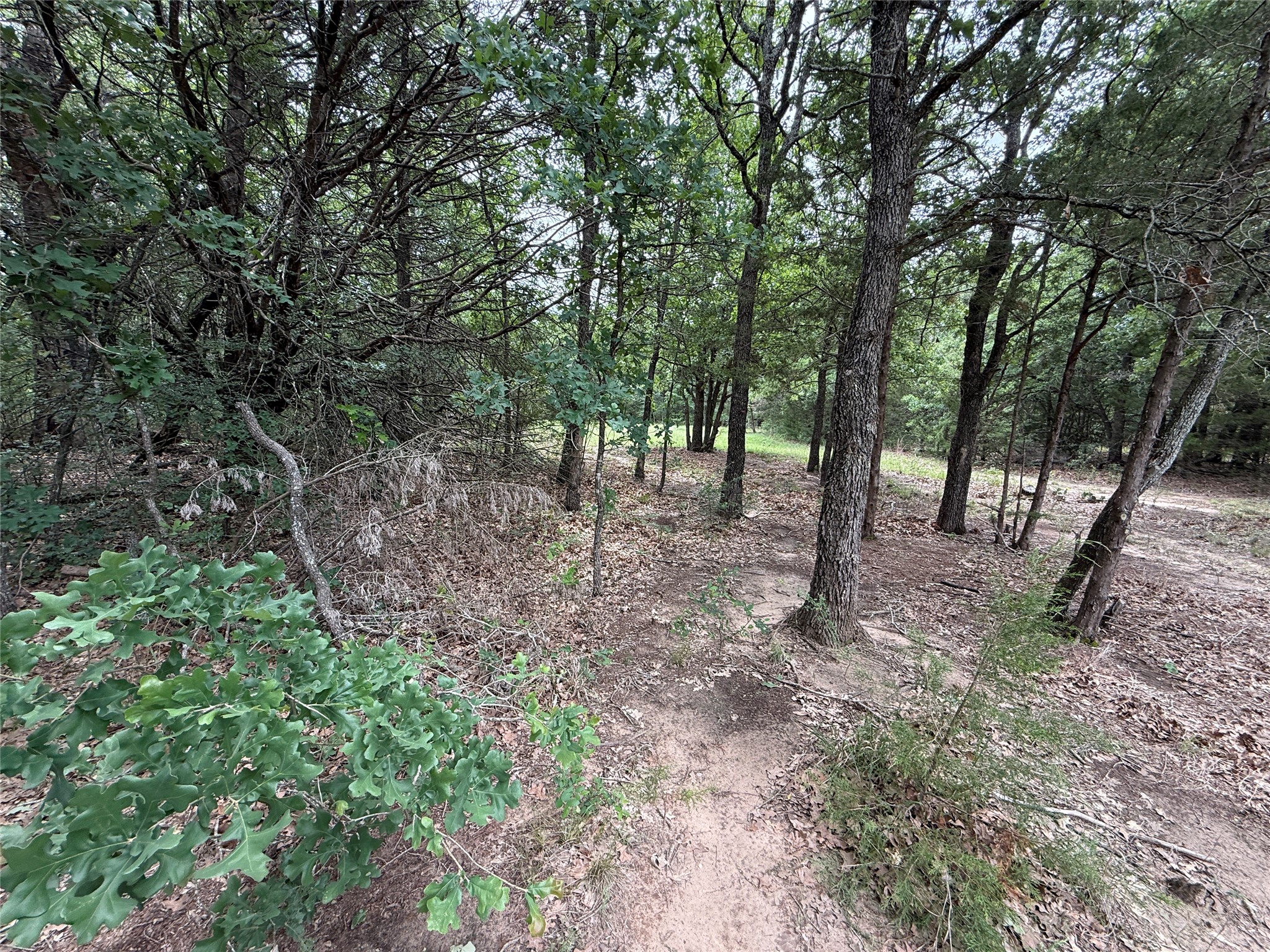 Tbd 27 Acres Fm 642 Purdon TX 76679