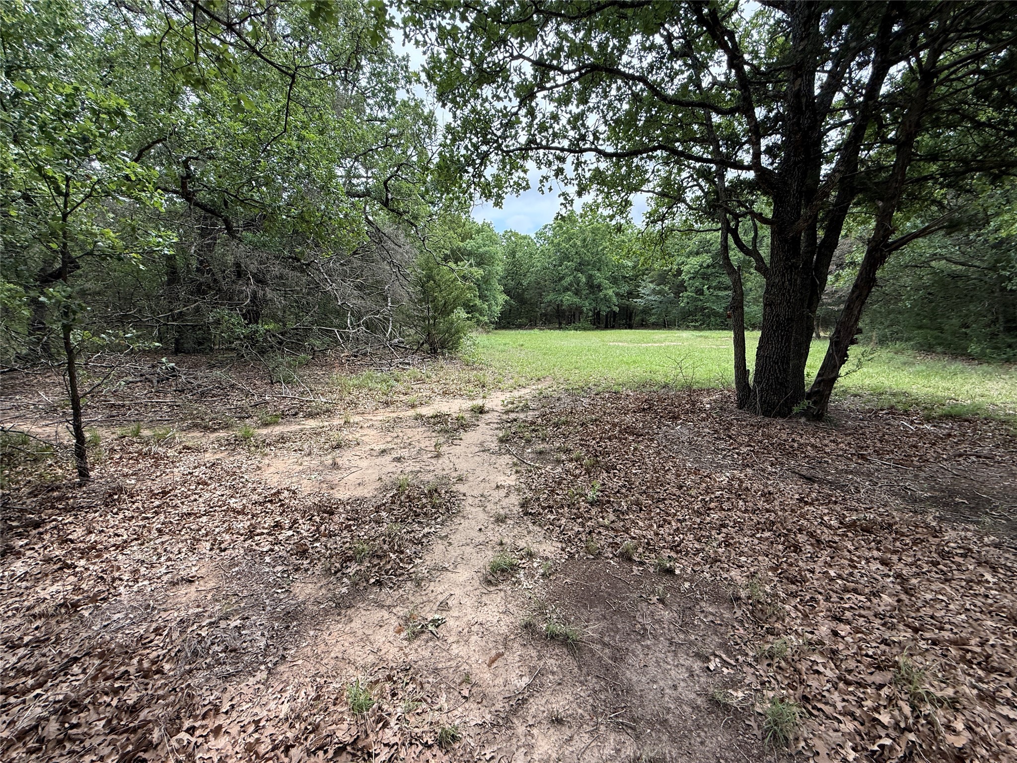 Tbd 27 Acres Fm 642 Purdon TX 76679