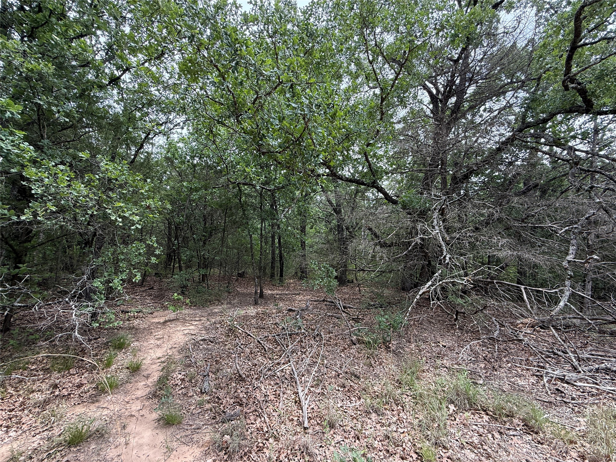 Tbd 27 Acres Fm 642 Purdon TX 76679