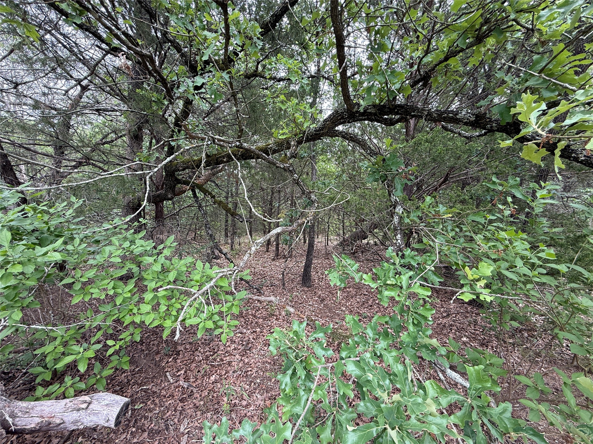 Tbd 27 Acres Fm 642 Purdon TX 76679