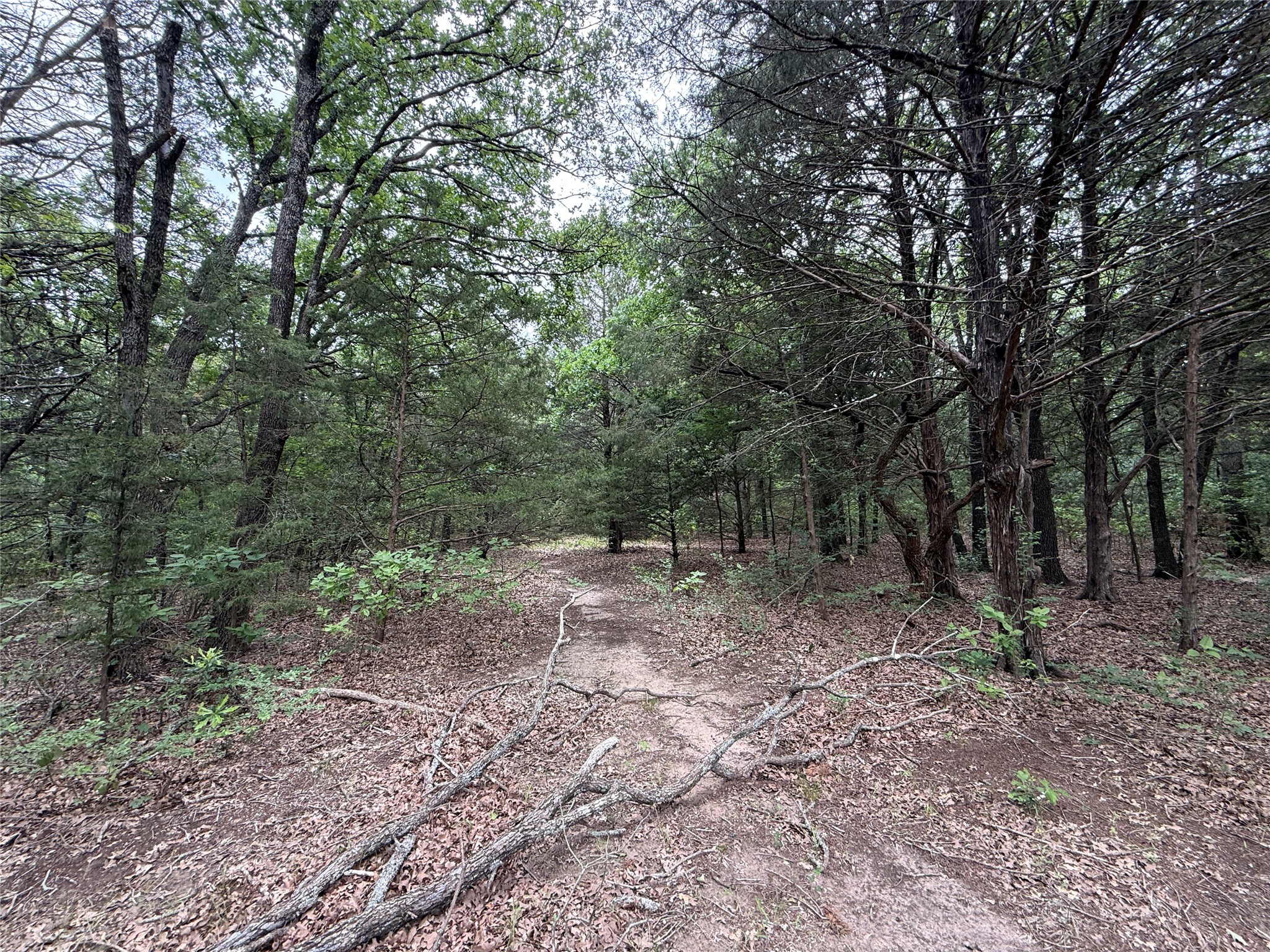 Tbd 27 Acres Fm 642 Purdon TX 76679