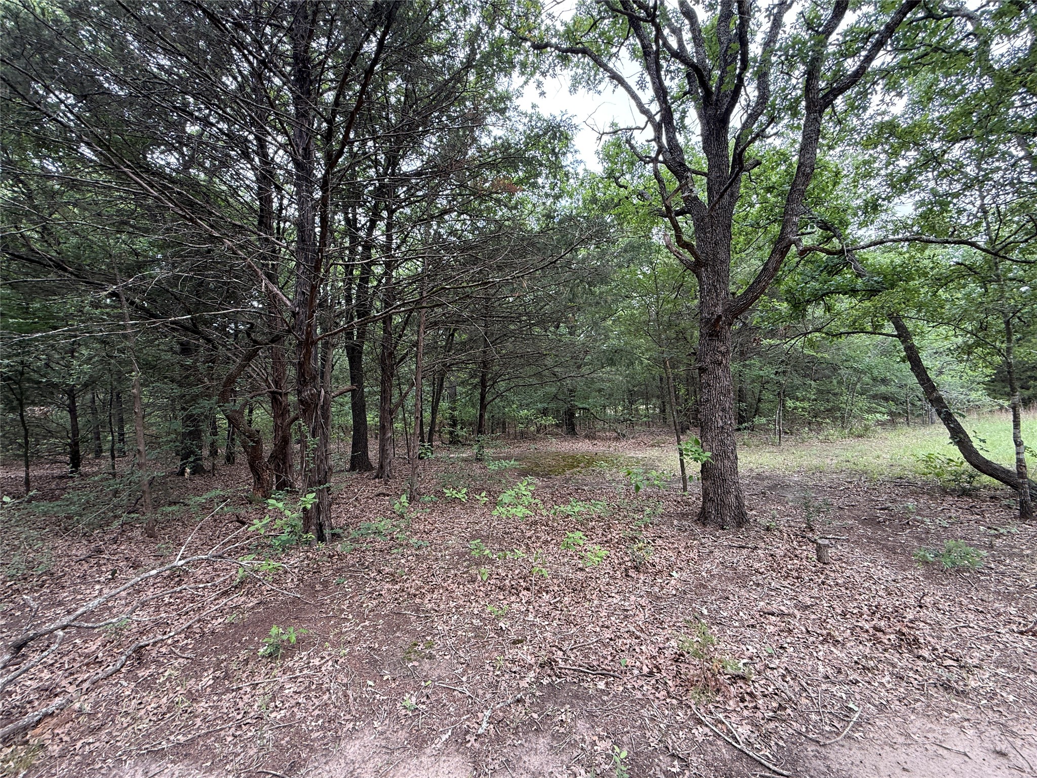 Tbd 27 Acres Fm 642 Purdon TX 76679