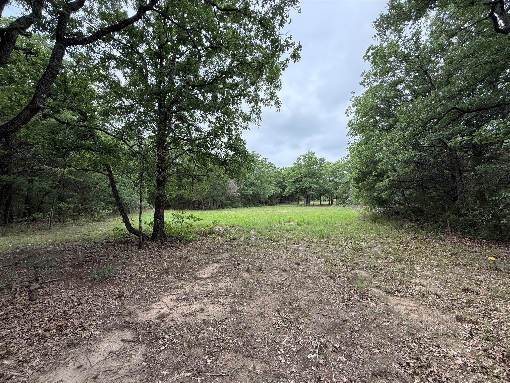 Tbd 27 Acres Fm 642 Purdon TX 76679