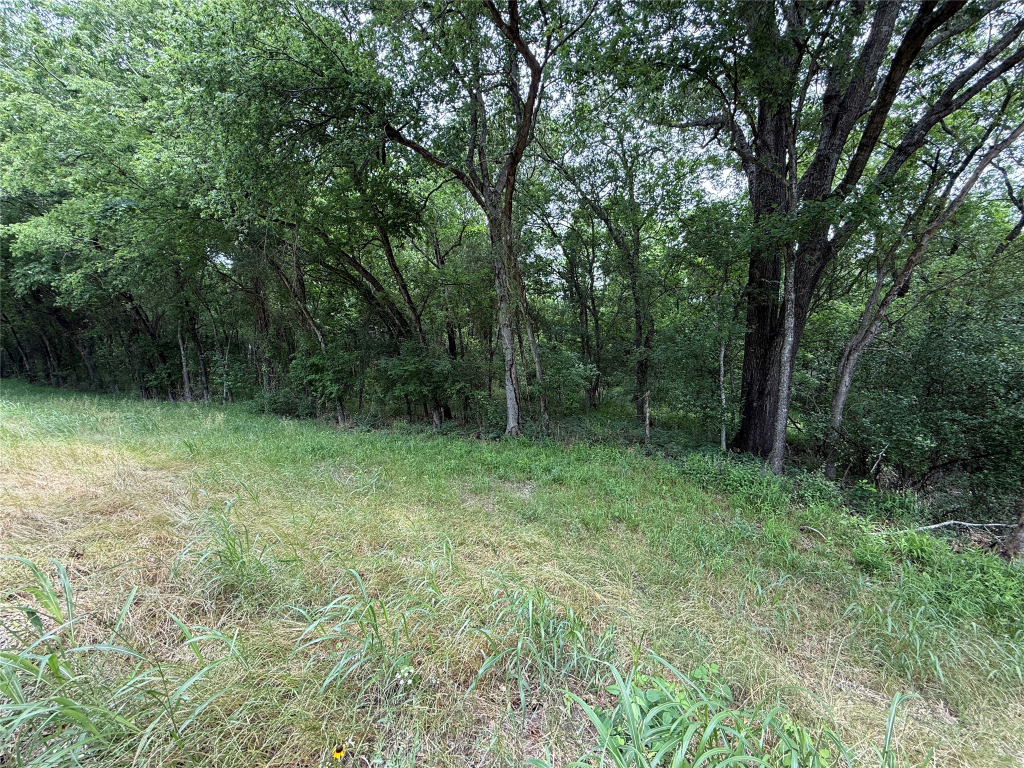 Tbd 27 Acres Fm 642 Purdon TX 76679