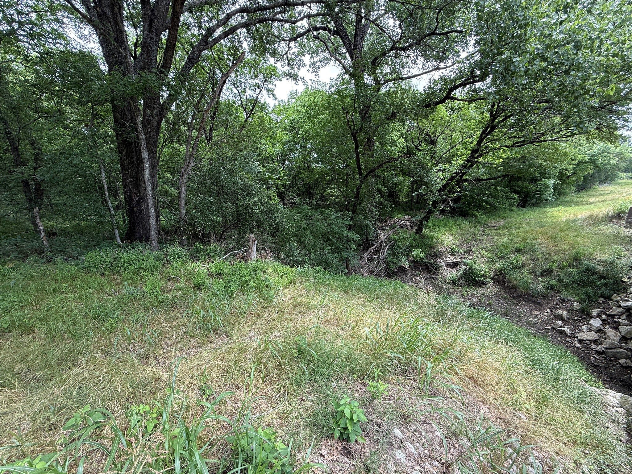 Tbd 27 Acres Fm 642 Purdon TX 76679