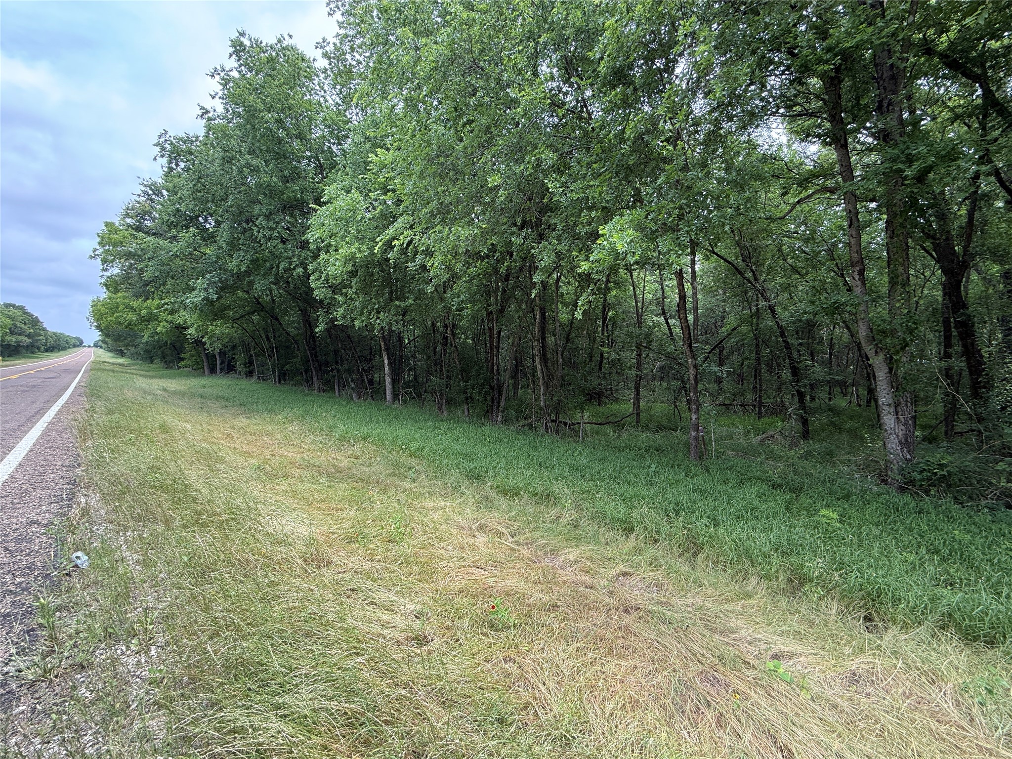 Tbd 27 Acres Fm 642 Purdon TX 76679