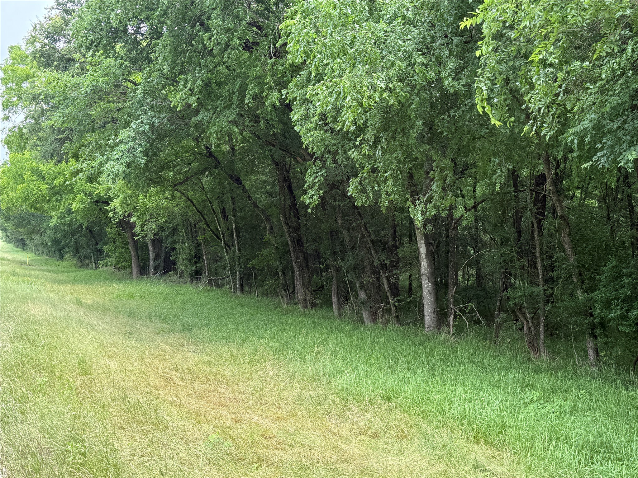 Tbd 27 Acres Fm 642 Purdon TX 76679