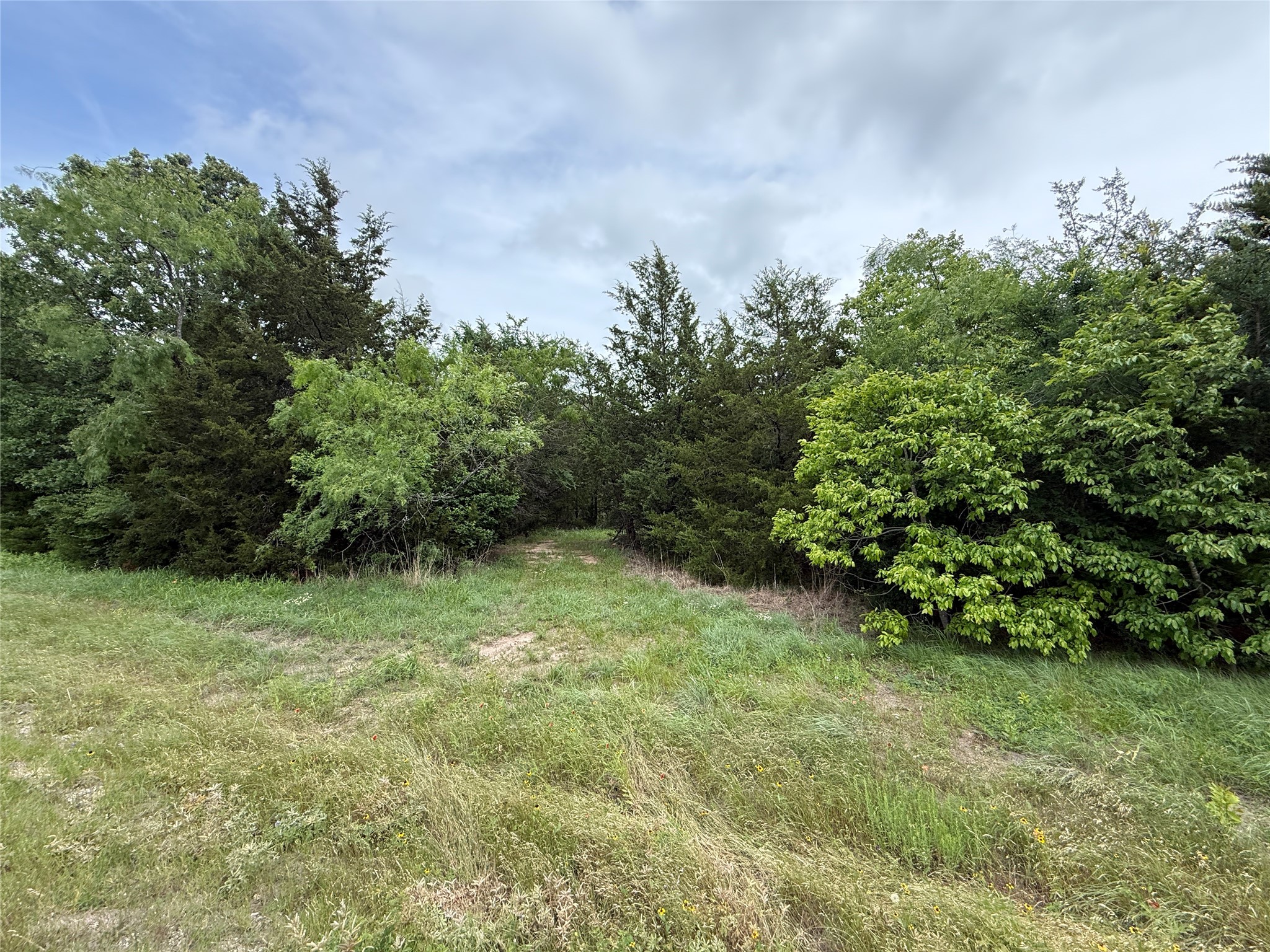 Tbd 27 Acres Fm 642 Purdon TX 76679